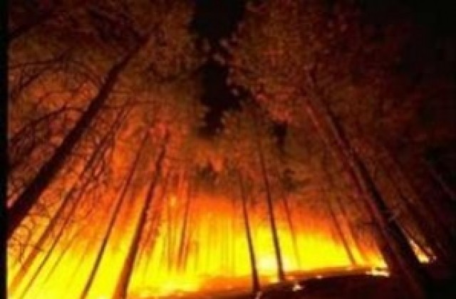 Над 110 дка сухи треви и 10 дка иглолистна гора горяха в Хаджидимовско