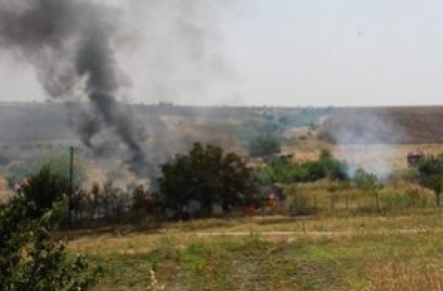 110 декара орехови насаждения изгоряха край Симеоновград
