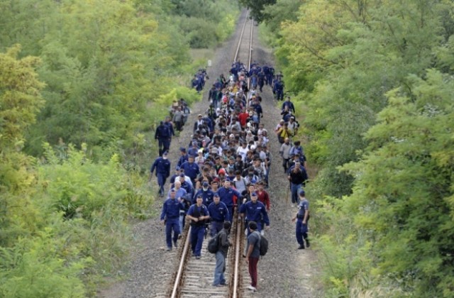Стотици бежанци пробиха унгарския кордон на границата със Сърбия