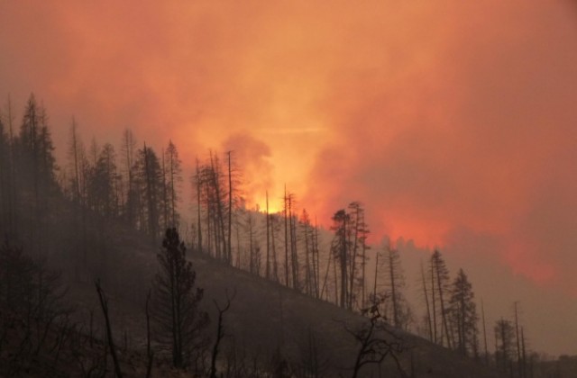 Пожари горят в Калифорния, извънредно положение в част от щата (ВИДЕО)