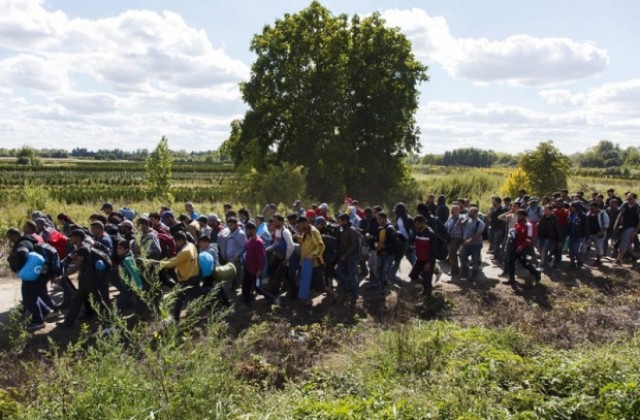 Страни от ЕС може да връщат мигранти в Сърбия, Белград негодува