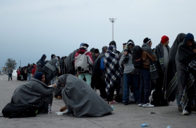 Българските трафиканти процъфтяват в кризата с мигрантите