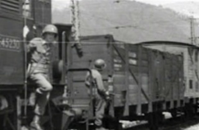 Полската армия потвърди безопасността на терена, където бил заровен „нацисткият влак”