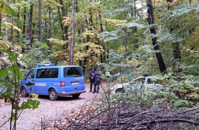 Дърво падна и уби мъж в Борисовата градина (СНИМКИ)