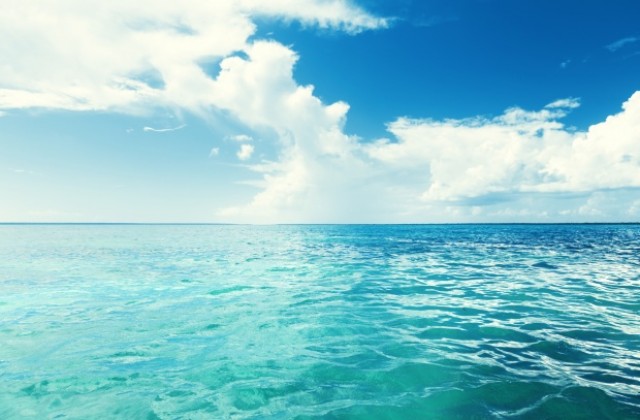 Едва 4 процента от океаните са морски защитени зони