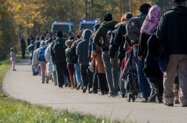 Австрия затяга режима за прием на бежанци