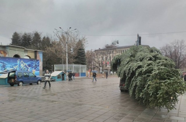 Коледната елха в Кюстендил ще грейне на 4- ти декември