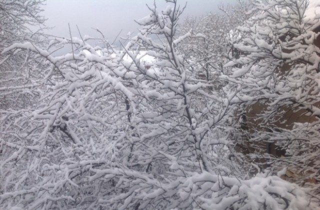 Първите снежинки прехвърчаха в София