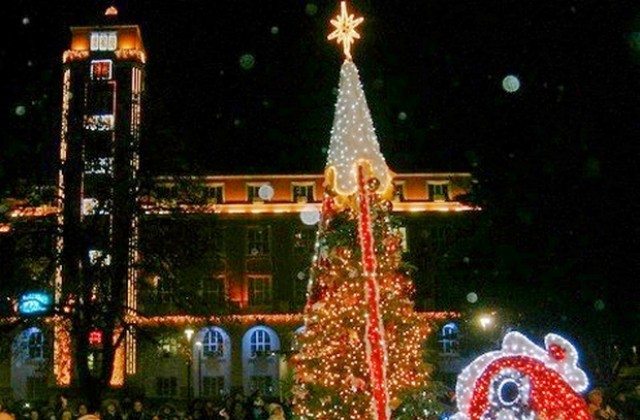 Този петък запалват светлините на Коледната елха в Плевен