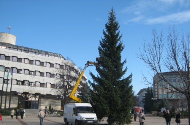 Коледната елха в Дупница грейва на 4- ти декември
