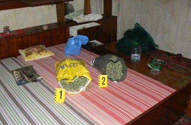 Три килограма марихуана иззеха при акция криминалисти от полицията в Плевен и Кнежа
