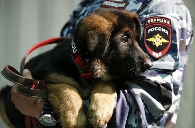 И Тексас подари обучено куче на парижката полиция
