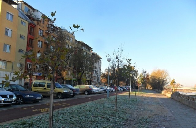 Засадиха над 300 дървета край новите велоалеи в Пловдив