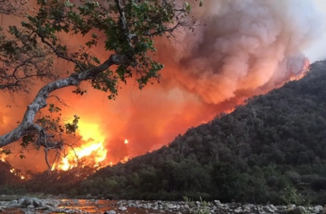 Опустошителни пожари в Калифорния