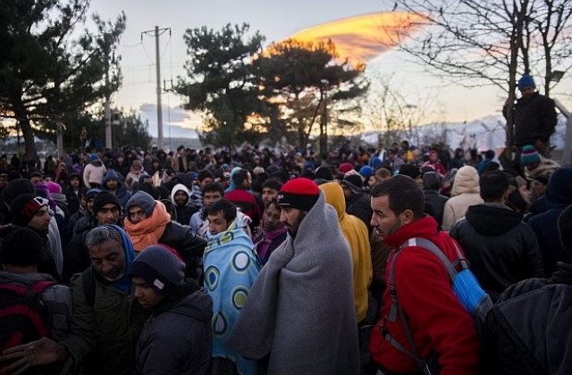 В Сърбия ще издават дебитни карти на бежанците за 40 евро