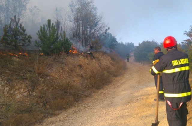 Военнослужещи участват в потушаването на пожар в Родопите