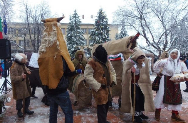 Девет впряга се включиха в ритуала Кьорава кобила в Тръстеник