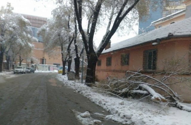 30 см е снежната покривка в Пловдив