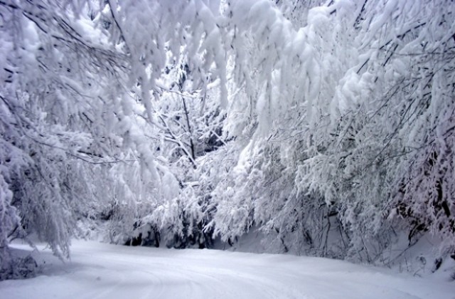 Усложнена е зимната обстановка на територията на община Габрово