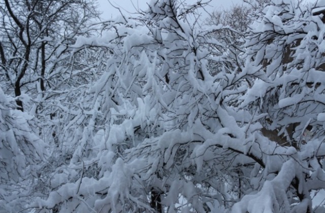 Ситуацията в община Карлово след обилния снеговалеж е под контрол