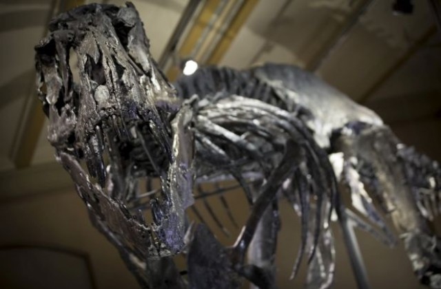 Учени откриха предшественика на Тиранозавър рекс