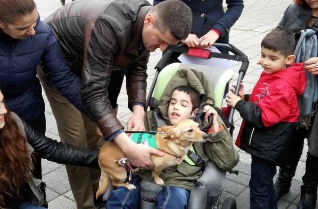 Първото бездомно куче-терапевт у нас ще помага на малкия Димо