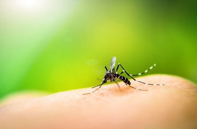 Какво прави някои хора по-вкусни за комарите?