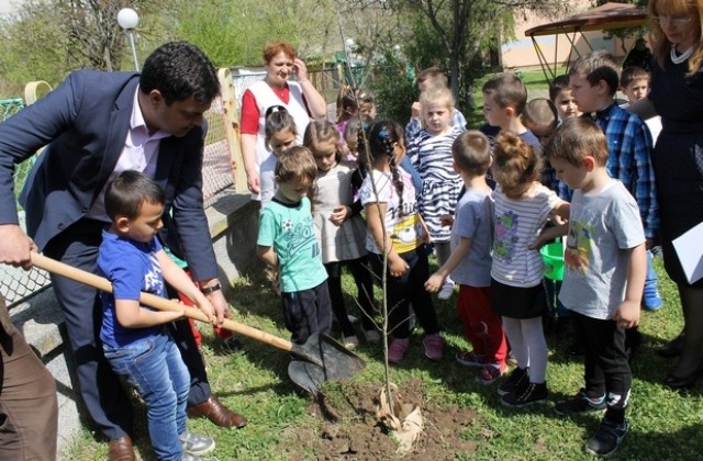 И Димитровград с инициативи за Седмицата на гората