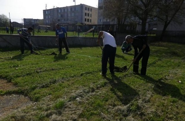 Залесиха липи и бреза в Болярово