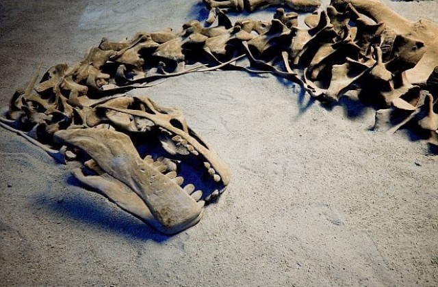 Динозаврите измрeли сами заради климата
