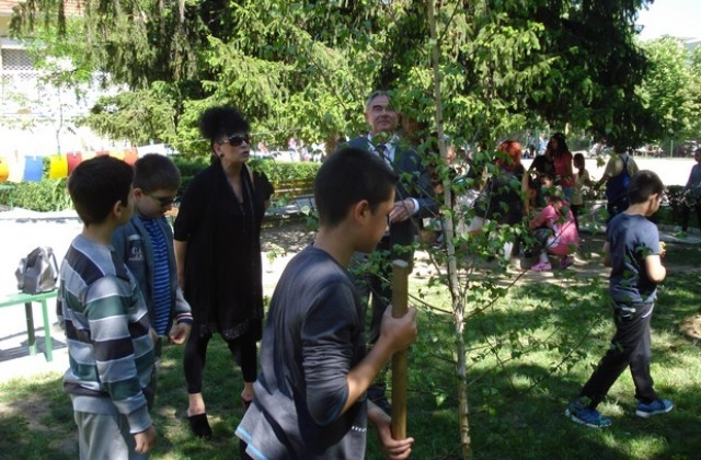 Децата от НУ Патриарх Евтимий засадиха дървета в двора на училището
