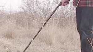 Хванаха иманяр на разкопки