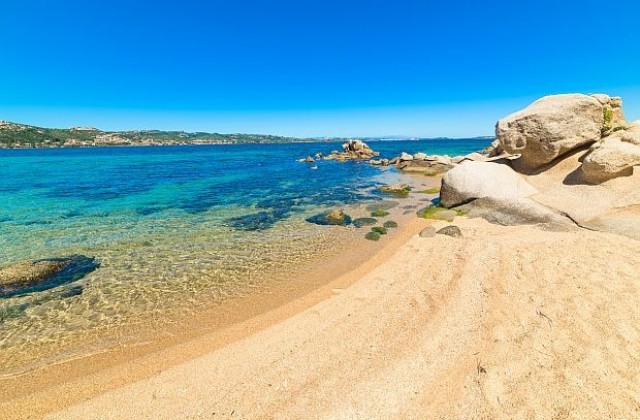 Гъмжащ от котки плаж е топ дестинация на остров Сардиния (СНИМКИ)