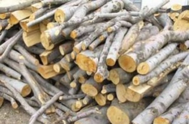 Община Сливен подпомага с дърва за огрев хора с увреждания