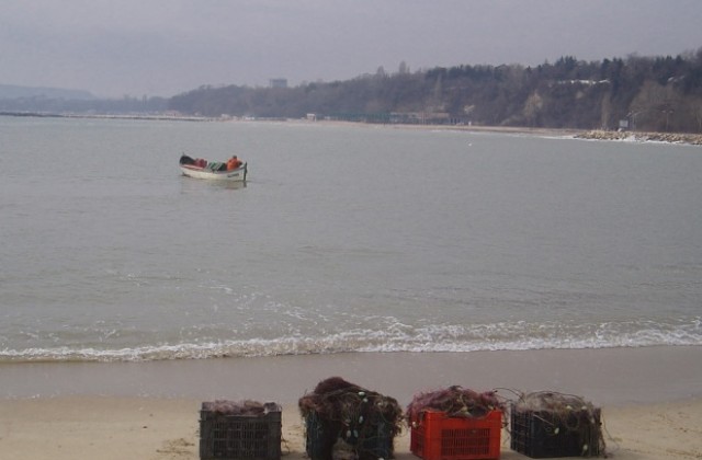 Руска есетра се появи в морето край Варна