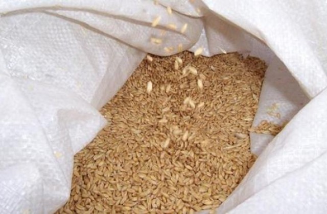 2 тона жито изчезнаха от складова база в Бериево