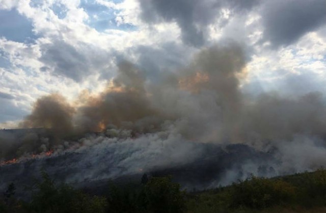 Стотици декари пламнаха край Стара Загора
