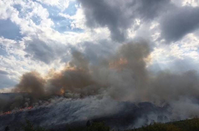 Горски служители от Сливен  участваха в потушаването на пожара в Стара Загора
