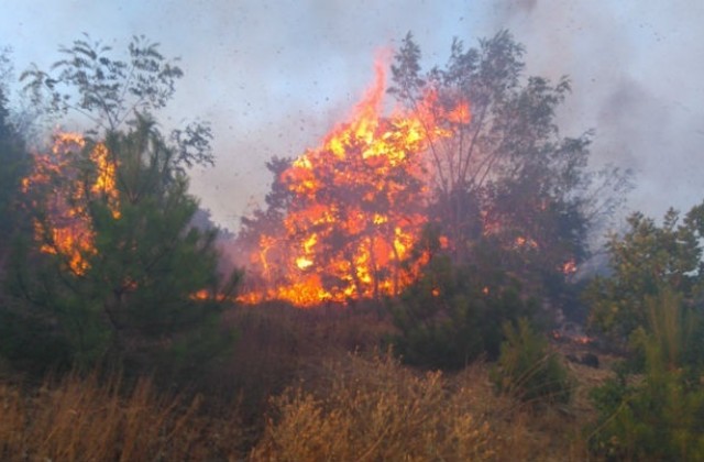 Голям пожар пламна в района на село Малко Шарково
