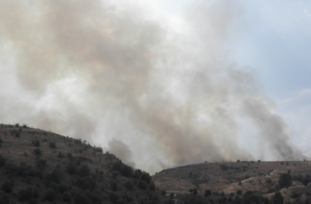 Над 300 сигнала за пожари в страната са подадени за денонощие