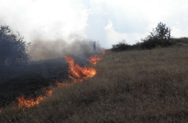 Локализиран е пожарът в община Харманли