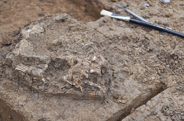 Откриха женски скелет на дъното на келтско светилище в Сборяново (СНИМКИ)