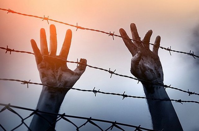 Бивши затворници разказват за потресаващите мъчения в сирийските затвори