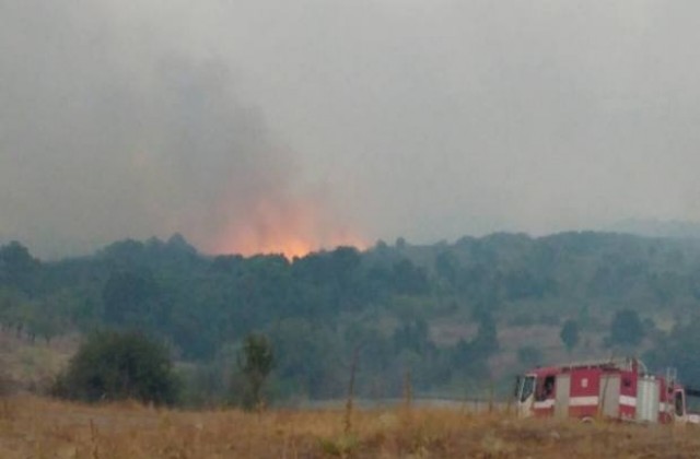 Военнослужещи и хеликоптер помагат в гасенето на пожара в Хасковско