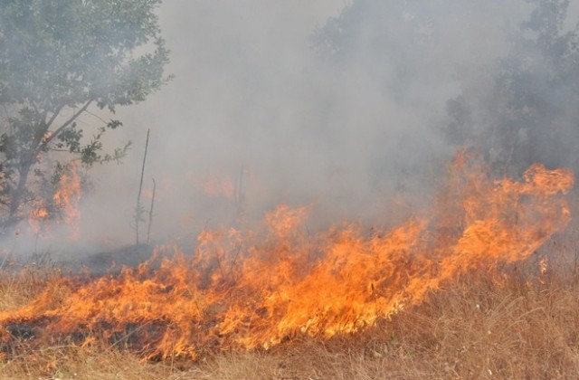 Голям пожар и край свиленградското с. Младиново