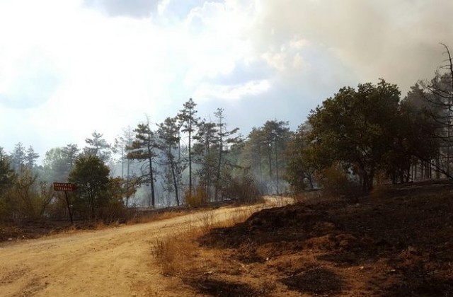 Областен кризисен щаб в Харманли заради новия пожар