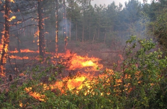 Опасност от пожари е обявена в Стара Загора