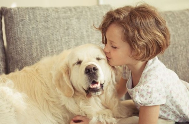 Учени провериха дали наистина кучетата ни обичат безрезервно