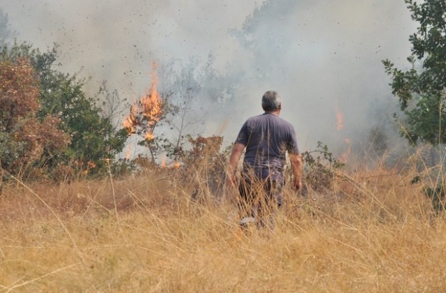Локализиран е пожарът в Харманлийско