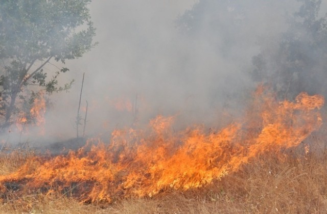 Голям пожар в село Соколово, горят 6 сеновала